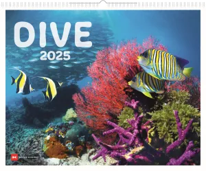 Kalender Dive 2025